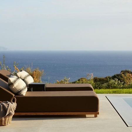 Villa Dione Kefalonian Chic Villas Спартия Екстериор снимка